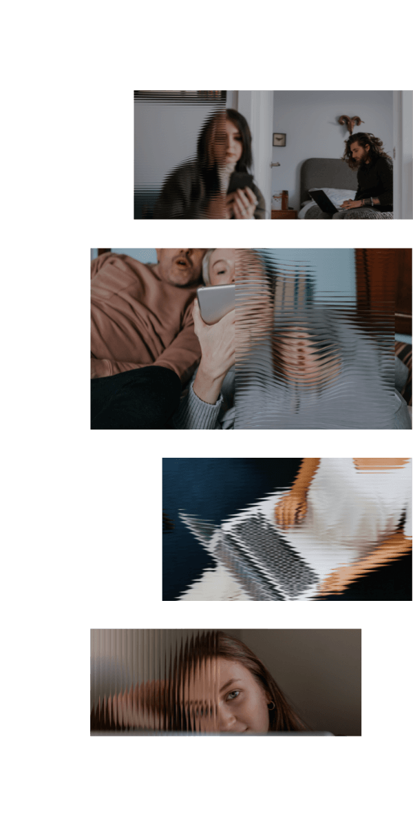 study LP v1 (1)